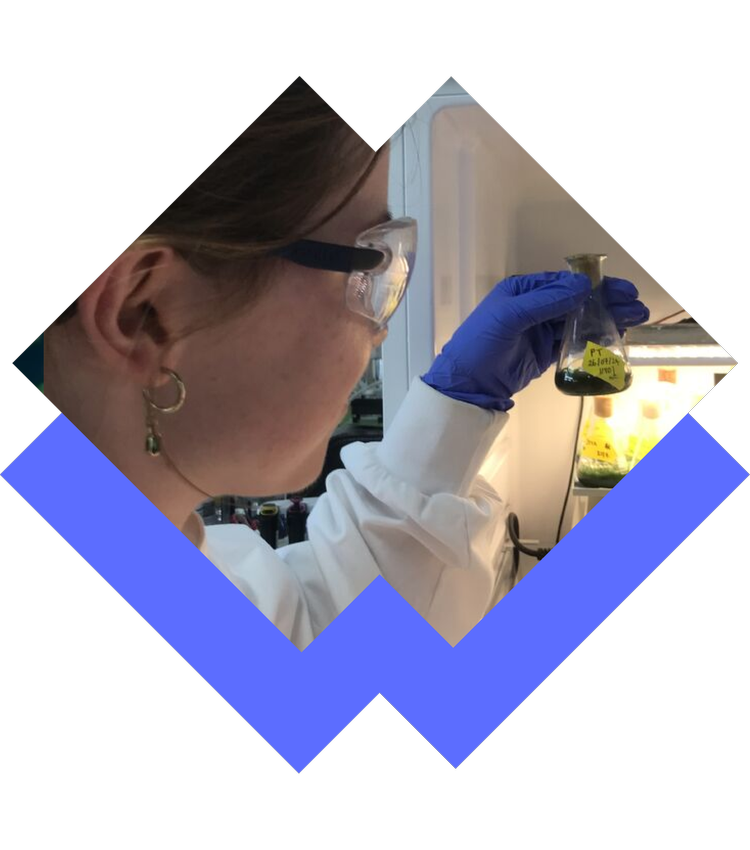 Case study illustration